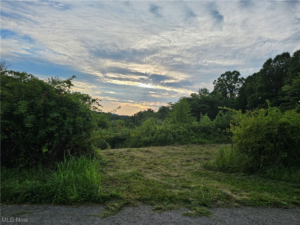 Hunter's haven for sure!! This 35.85 acre property is ready to hunt! What's your pleasure? Deer? Turkey? Squirrel? Rabbit? It's all here! Seller has mowed paths throughout the property for easy access to the prime locations. Small creek runs through the land and you all know the deer love that! Several trees of marketable size! Nice area close to the road for a home or hunting cabin of your choice! Public water and electric are available at the road - just have to get a tap set and hook it up! Access is from a paved county road. Property has fence around the majority of it for easy boundary markers. Seller willing to talk with buyer about his history of hunting the property and will share trail camera pics of some "nice" ones! Mineral rights can not transfer. Agent is related to the sellers.