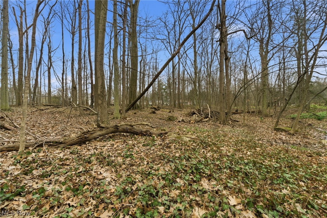 Mayfield Acres - Residential