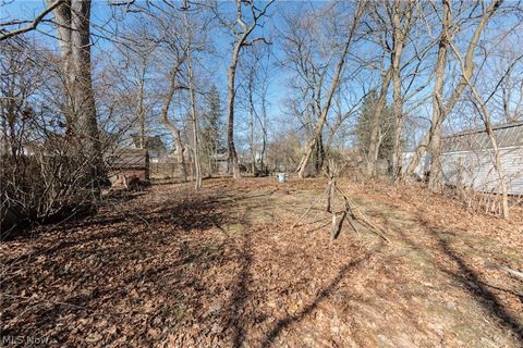 Tiny photo for 114 Beck Avenue, Akron, OH 44302 (MLS # 5190108)