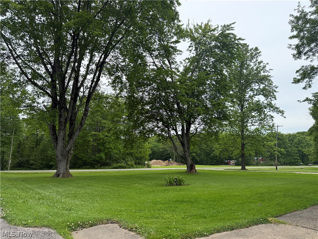 Ballonoff Acres - Residential