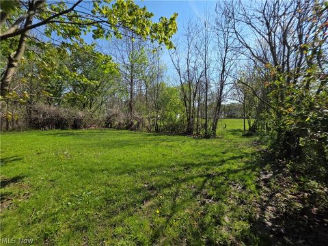 Tiny photo for 447 S Diamond Street, Ravenna, OH 44266 (MLS # 5204068)