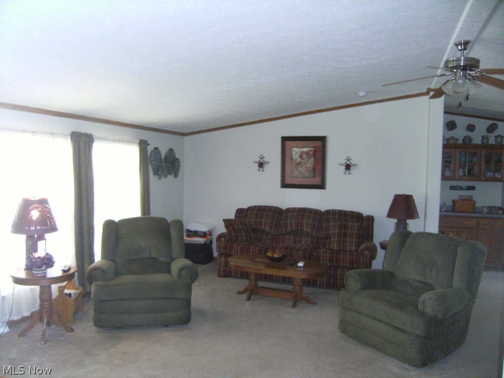 Branch Circle - Residential