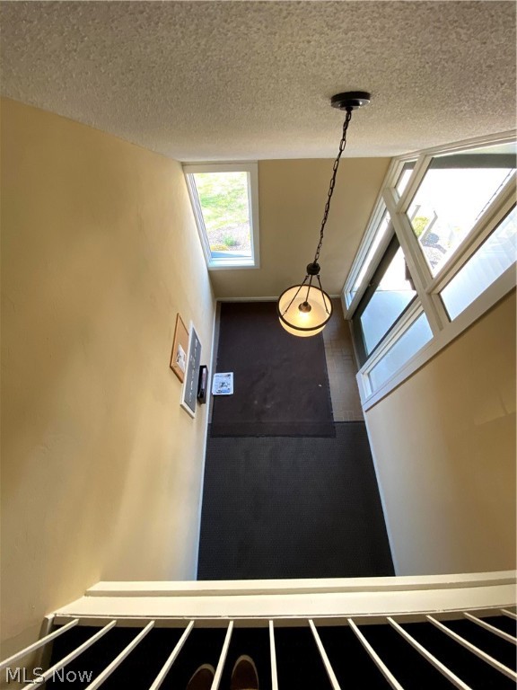 Oak Knolls Condo - Residential