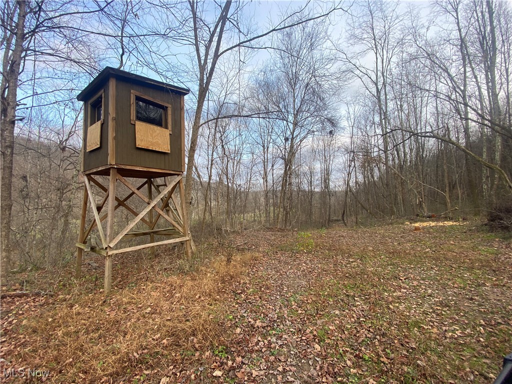 Hoot Owl Ridge Road, Lower Salem, Ohio image 14