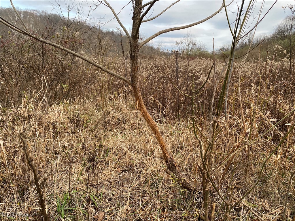 Hoot Owl Ridge Road, Lower Salem, Ohio image 23