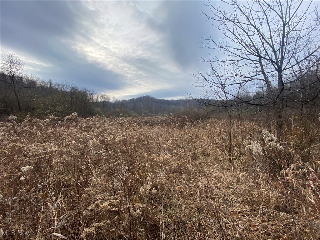 Hoot Owl Ridge Road, Lower Salem, Ohio image 2