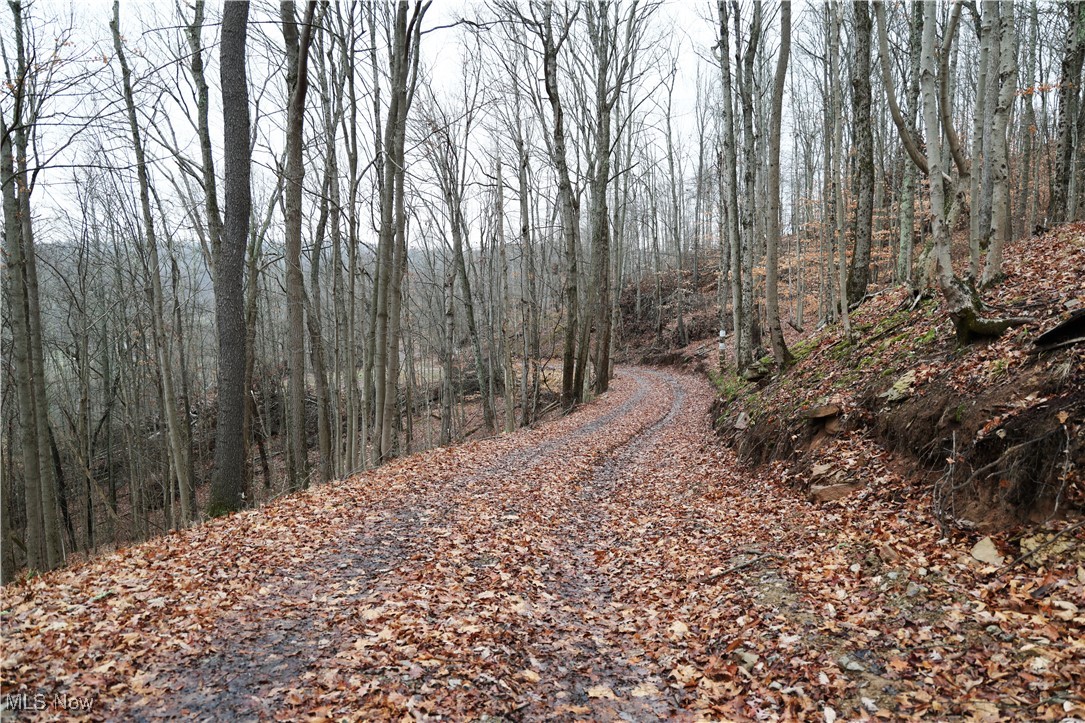 Hoot Owl Ridge Road, Lower Salem, Ohio image 12