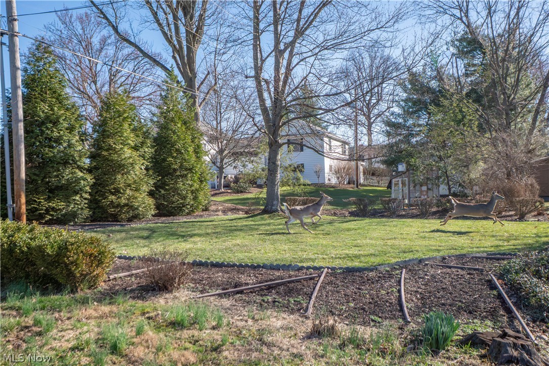 Market Hills 02 - Residential