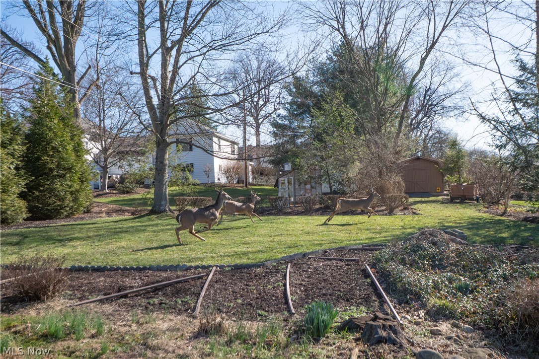 Market Hills 02 - Residential