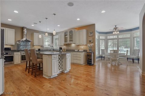 Tiny photo for 1957 W Swan Lake Circle, Kent, OH 44240 (MLS # 5178901)