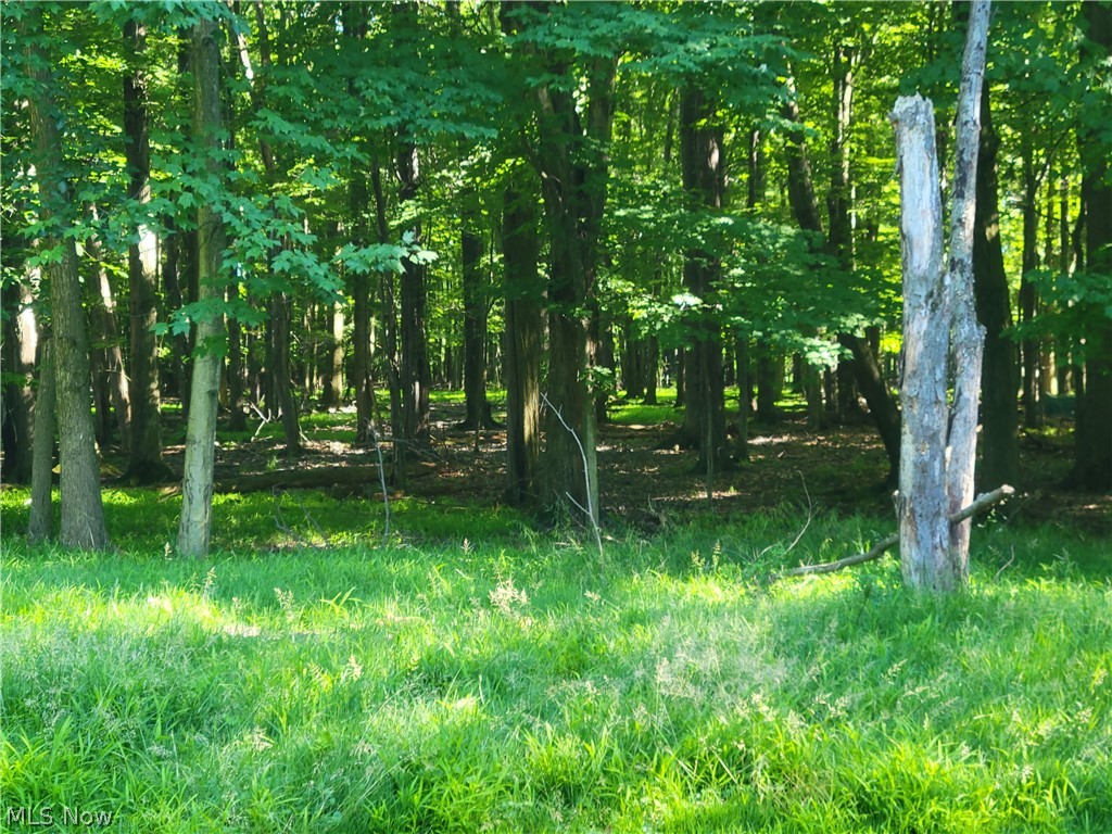 Village/Richmond Heights - Residential