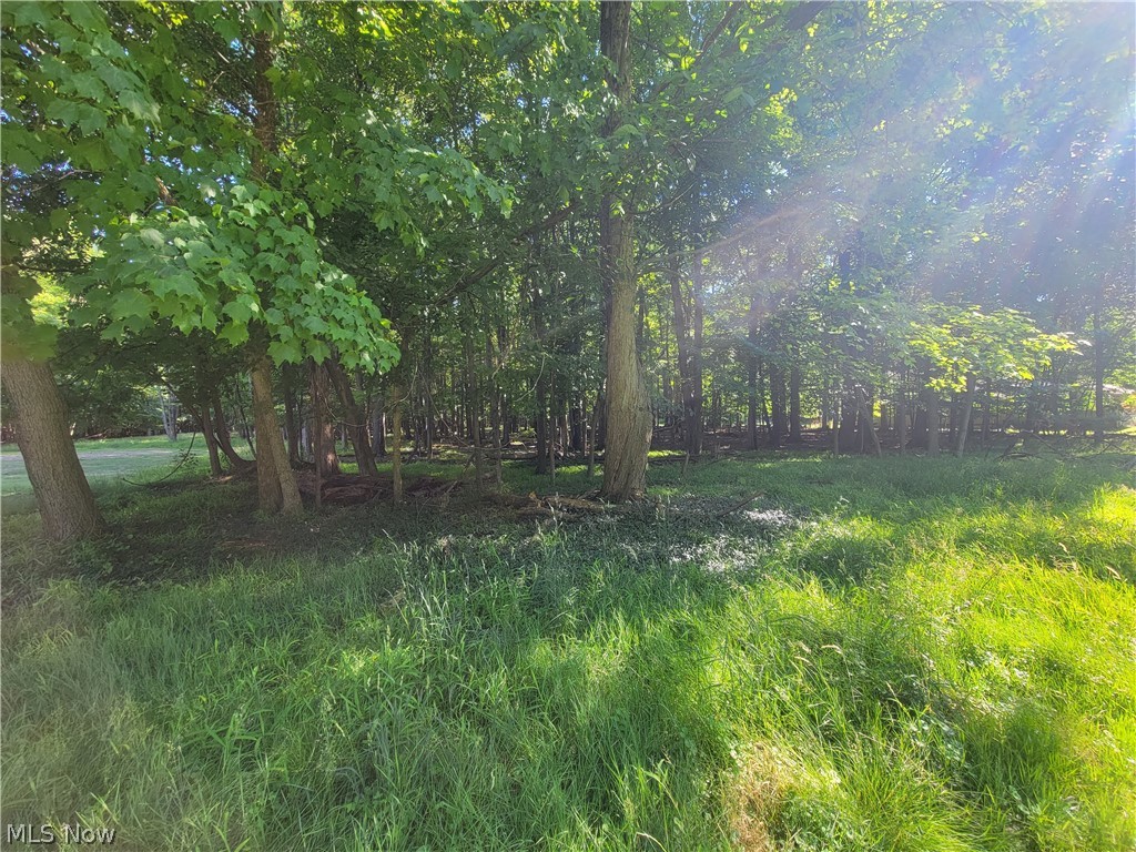 Village/Richmond Heights - Residential