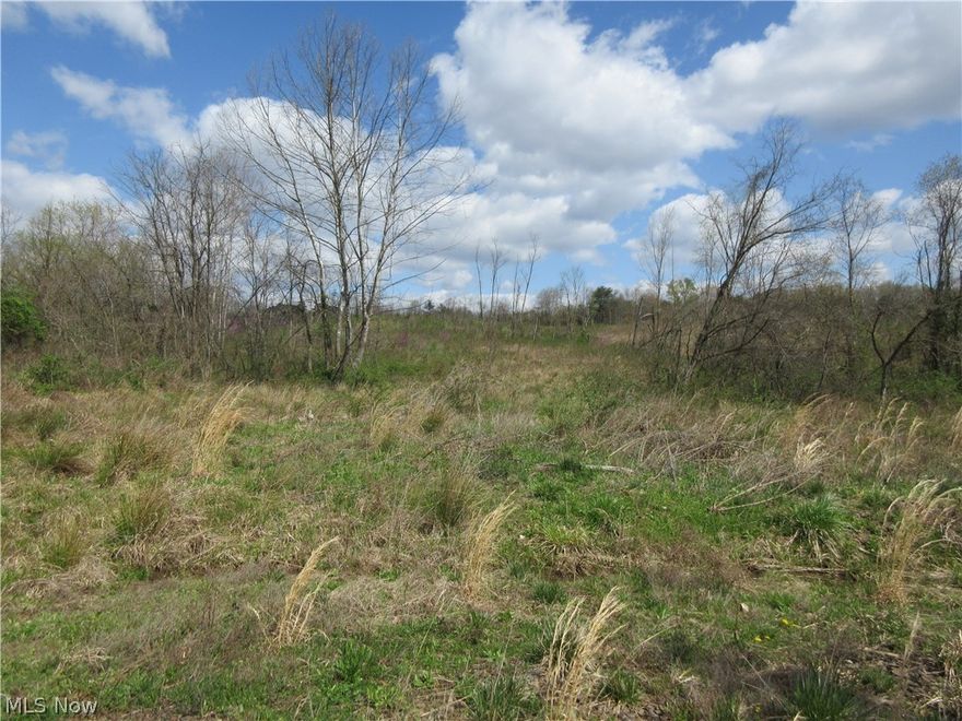 This property offers large amounts of road frontage and great access points. With a trails, a pond, and plenty of under brush this property has a lot to offer to the next owner. The wildlife sign is plentiful and the habitat is endless.

Note - SOLD as a whole with MLS #4186062 and #4186098.  CLOSED 8/21/2020.