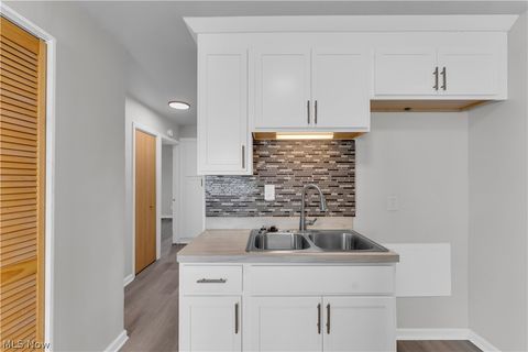 Tiny photo for 20117 Butternut Lane, Warrensville Heights, OH 44128 (MLS # 5203291)