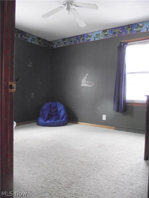 Roath Allotment 07 - Residential