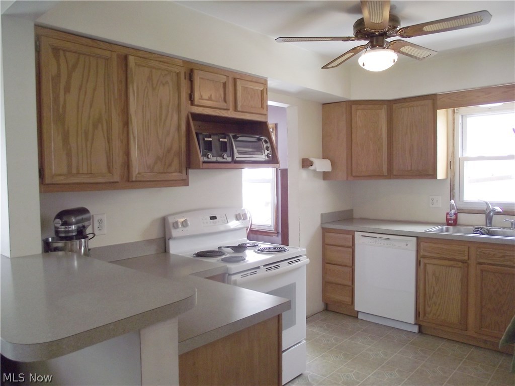 Roath Allotment 07 - Residential