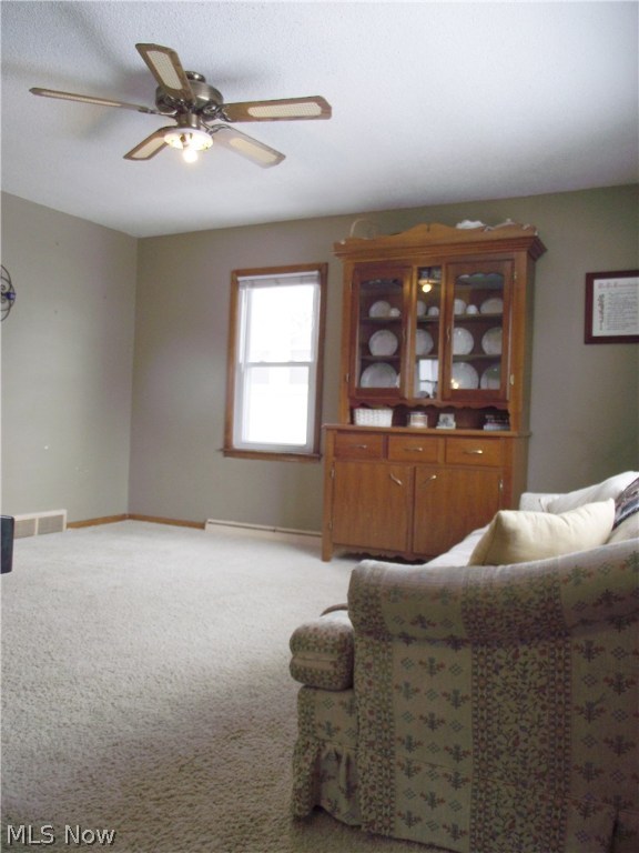 Roath Allotment 07 - Residential