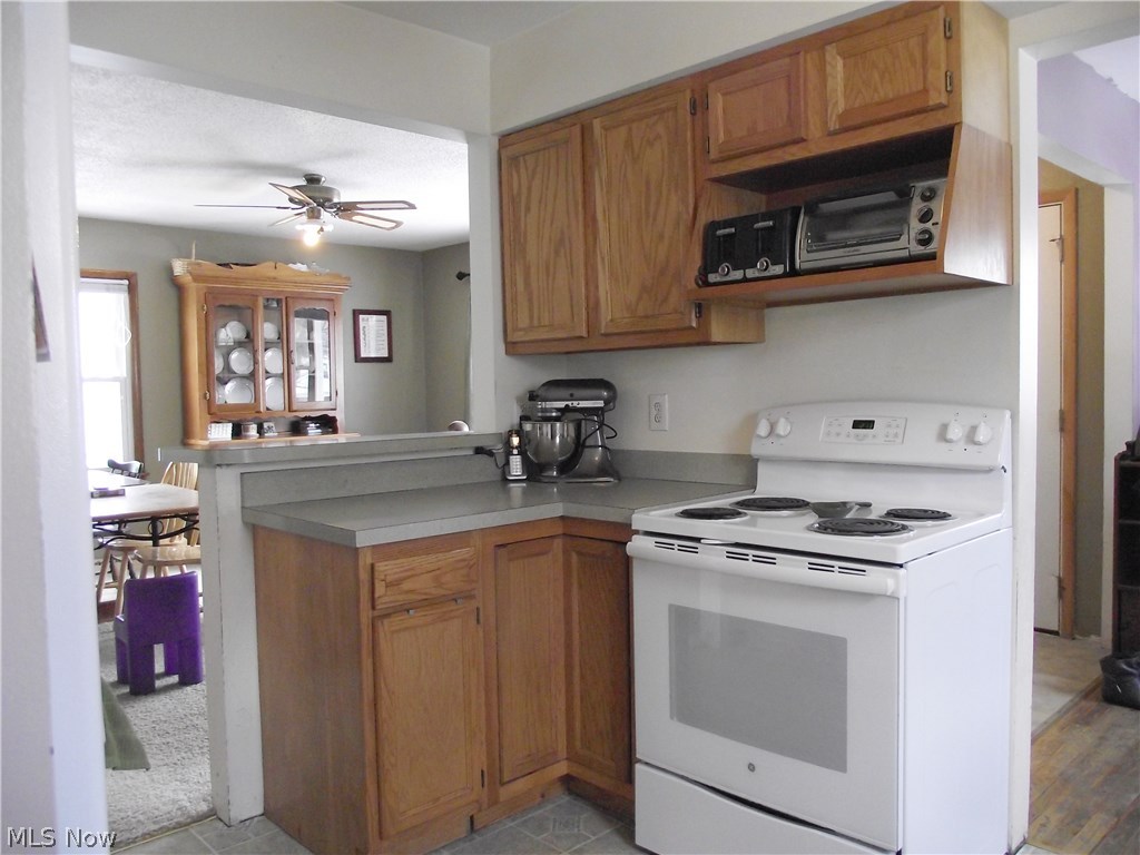 Roath Allotment 07 - Residential