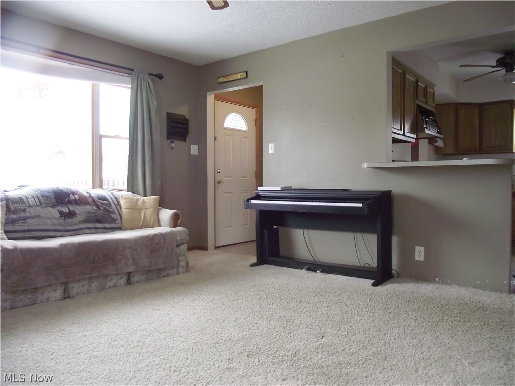 Roath Allotment 07 - Residential