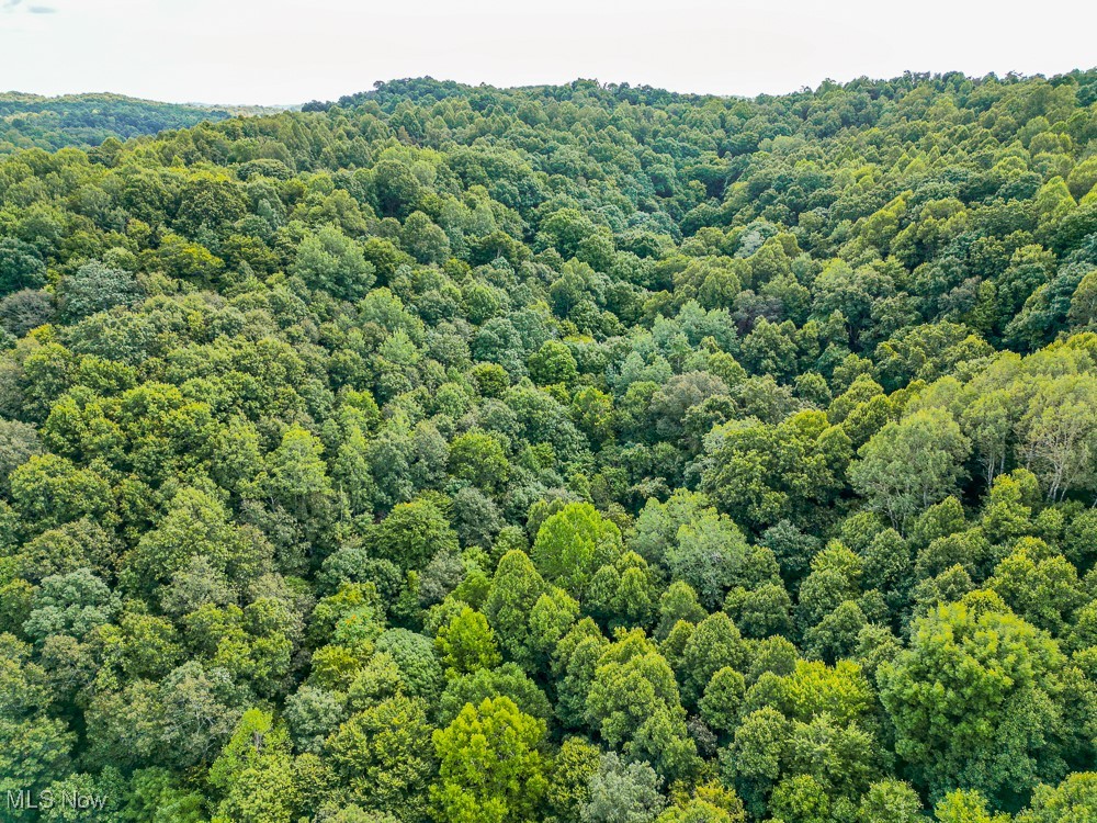 Sheepskin Ridge Road, Lower Salem, Ohio image 24