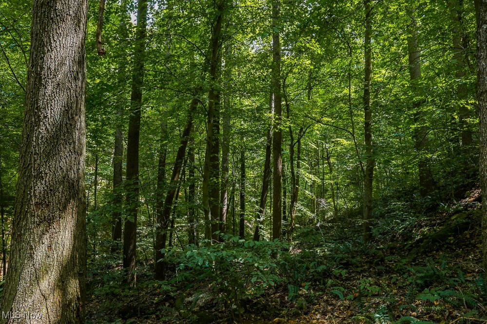 Sheepskin Ridge Road, Lower Salem, Ohio image 17