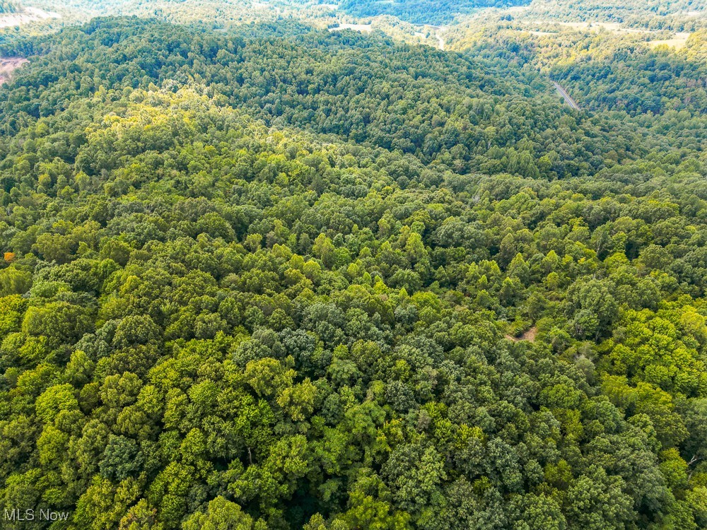 Sheepskin Ridge Road, Lower Salem, Ohio image 29