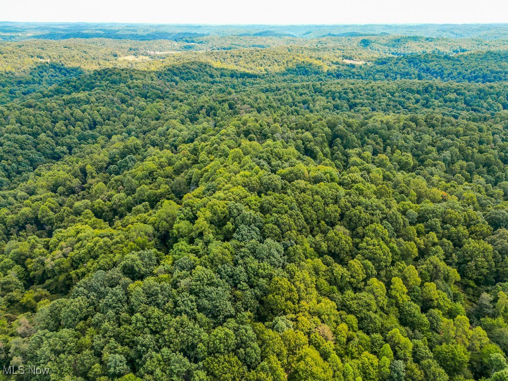 Sheepskin Ridge Road, Lower Salem, Ohio image 31