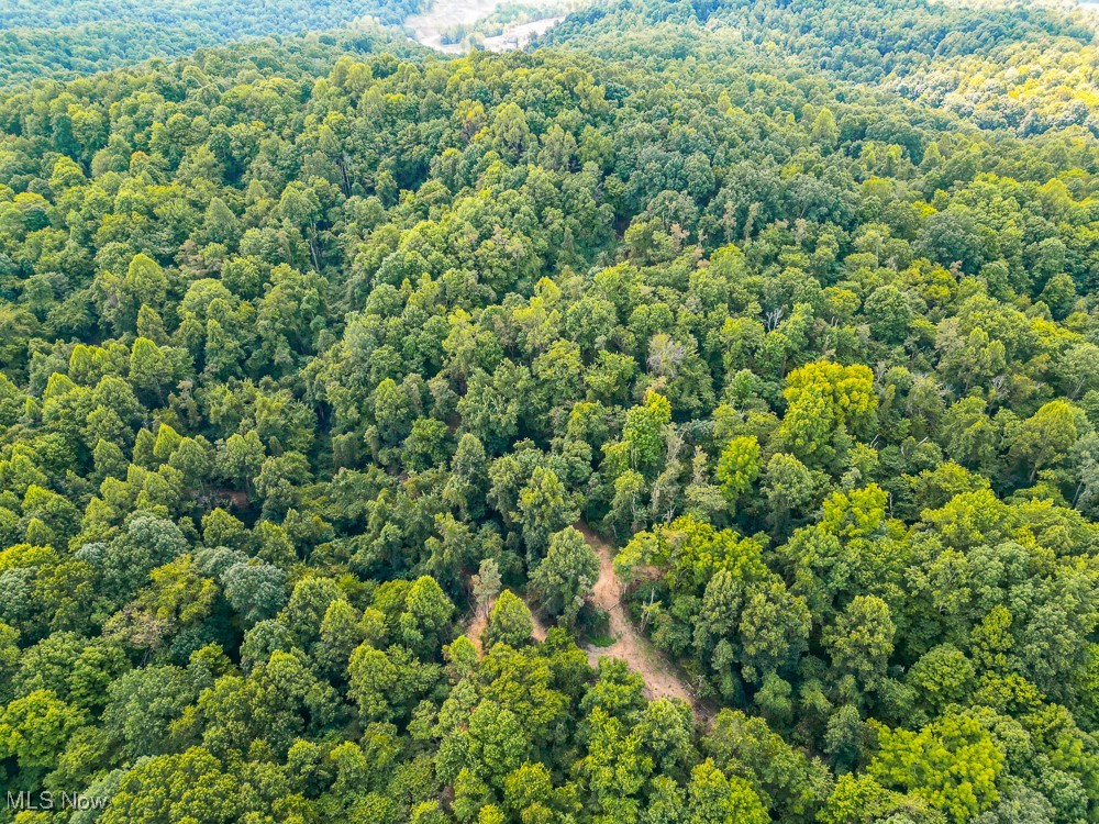 Sheepskin Ridge Road, Lower Salem, Ohio image 26