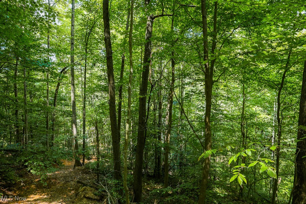 Sheepskin Ridge Road, Lower Salem, Ohio image 15