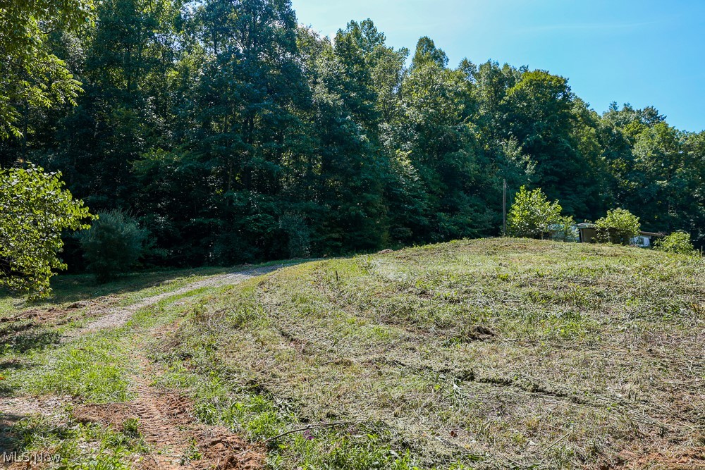 Sheepskin Ridge Road, Lower Salem, Ohio image 10