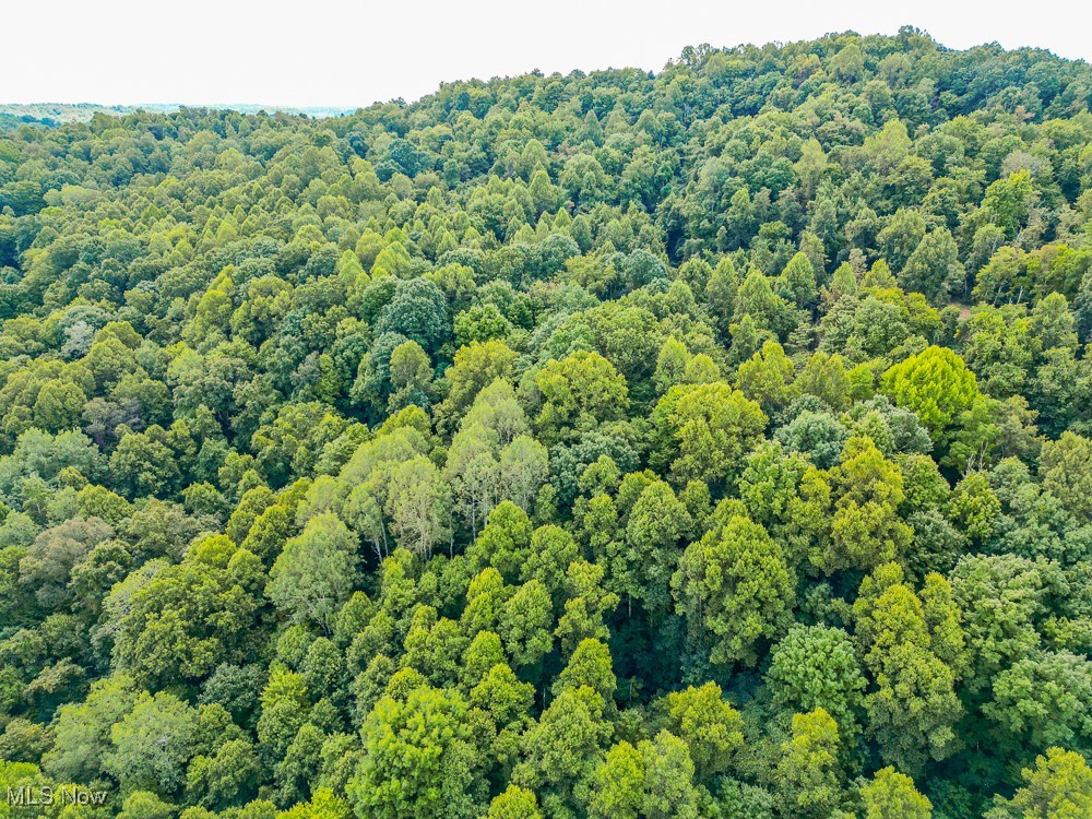 Sheepskin Ridge Road, Lower Salem, Ohio image 25