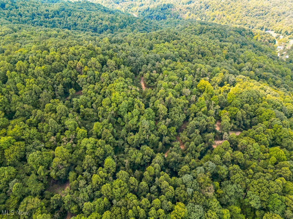 Sheepskin Ridge Road, Lower Salem, Ohio image 28