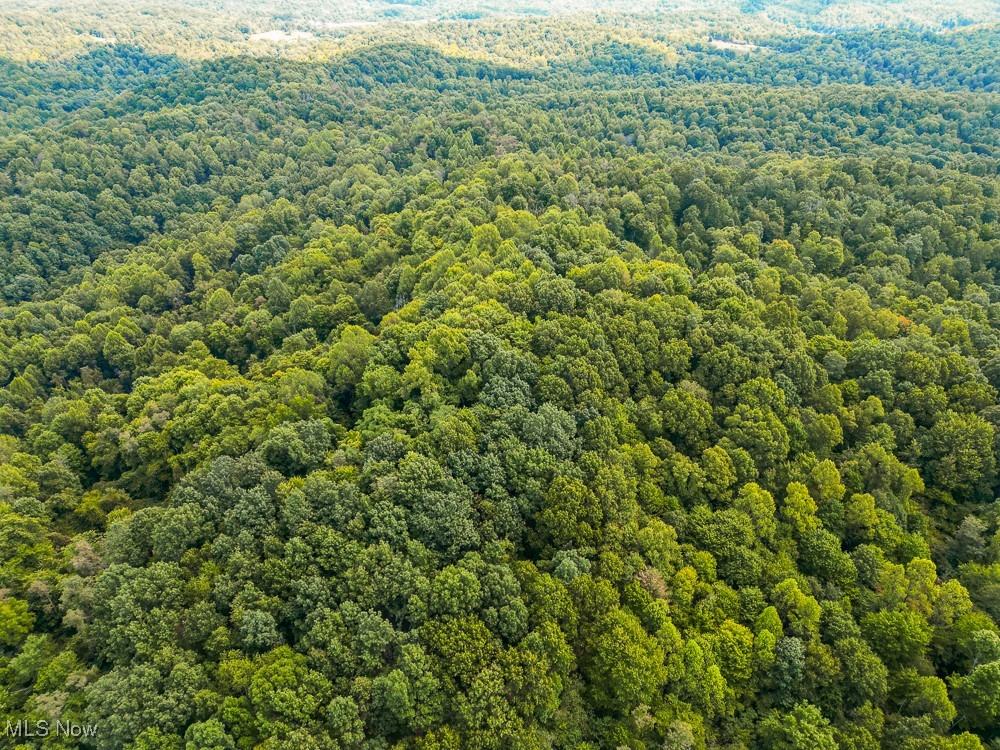 Sheepskin Ridge Road, Lower Salem, Ohio image 30