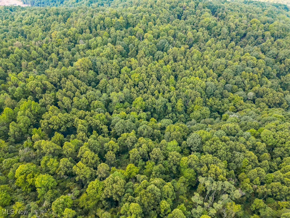 Sheepskin Ridge Road, Lower Salem, Ohio image 27