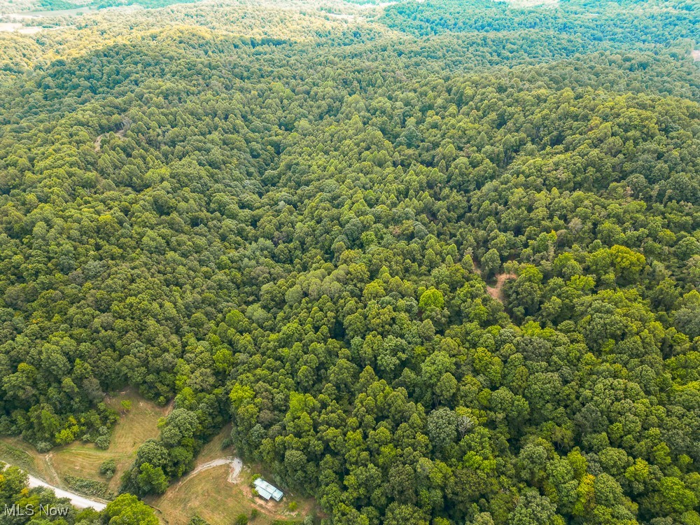 Sheepskin Ridge Road, Lower Salem, Ohio image 32