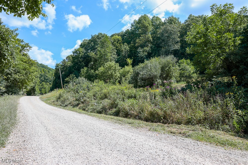 Sheepskin Ridge Road, Lower Salem, Ohio image 9