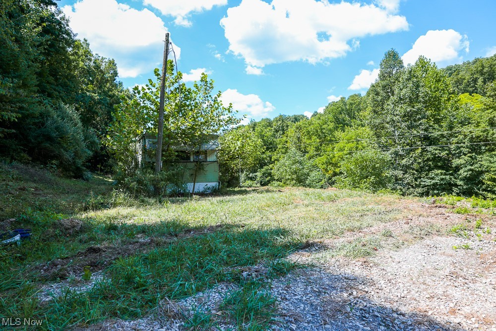 Sheepskin Ridge Road, Lower Salem, Ohio image 4