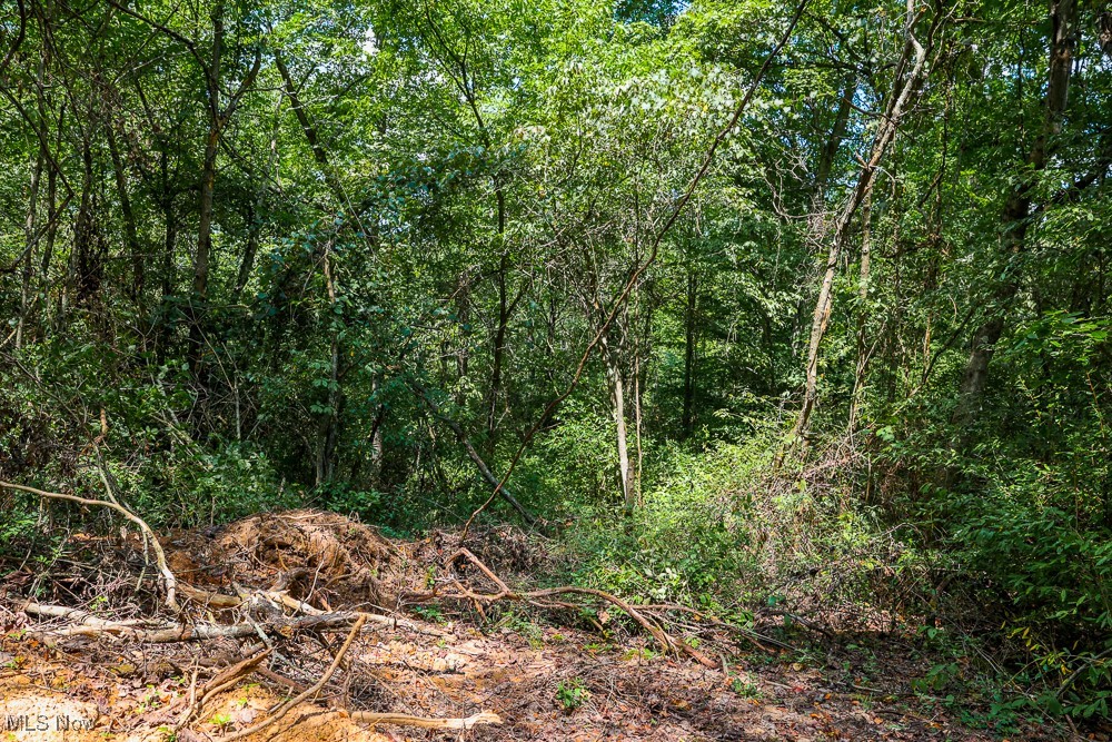 Sheepskin Ridge Road, Lower Salem, Ohio image 12