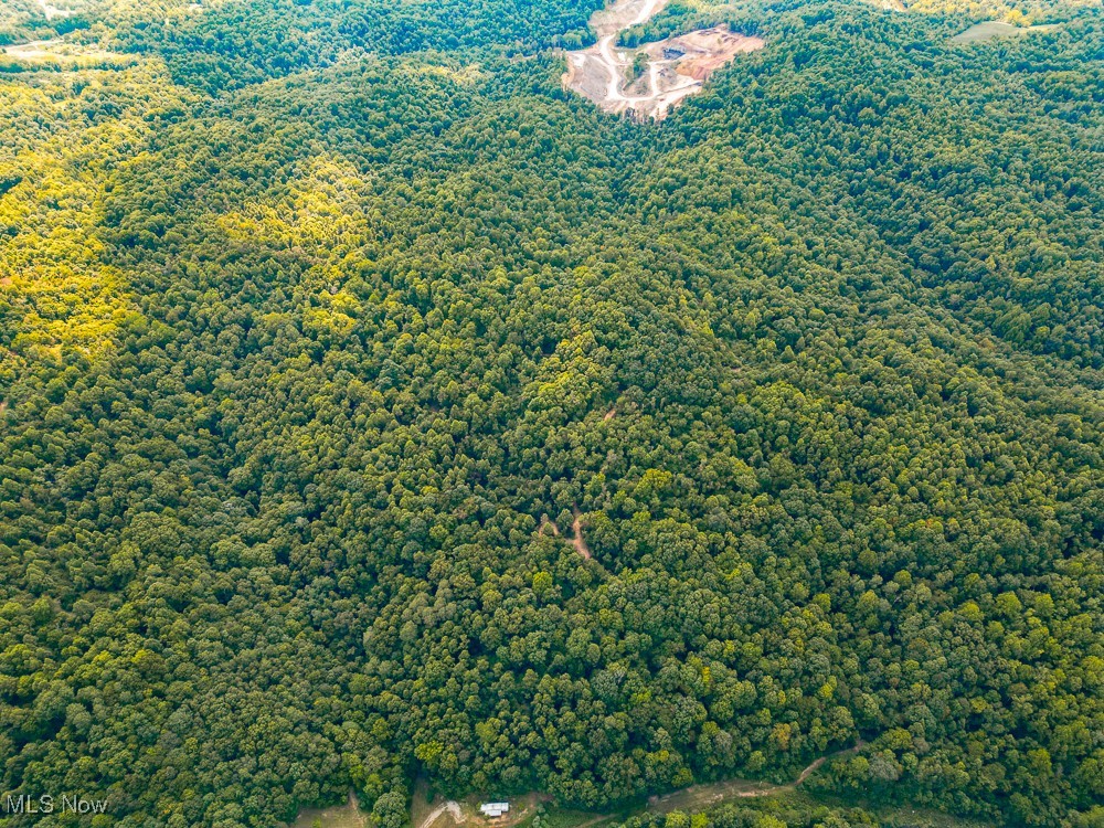 Sheepskin Ridge Road, Lower Salem, Ohio image 34