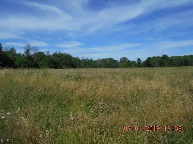 L shaped driveway off of Brown Rd 5.26 acre vacant land parcel...