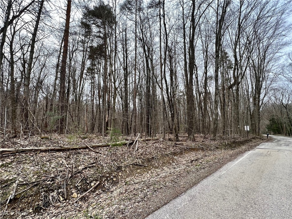 S/L 1 Robinson Road, Chardon, Ohio image 6