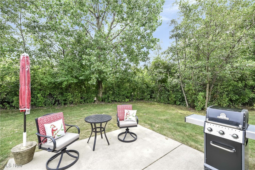 Nautica At Lake Erie Shores Condo - Residential