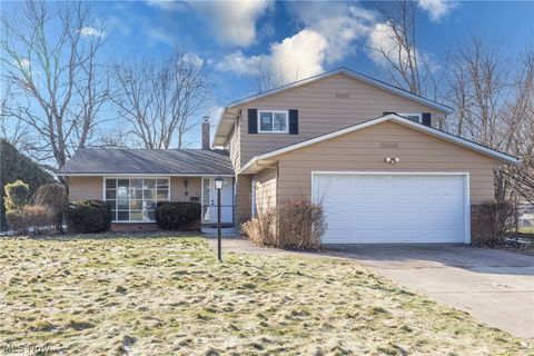 522 Catlin Drive Richmond Heights OH 44143