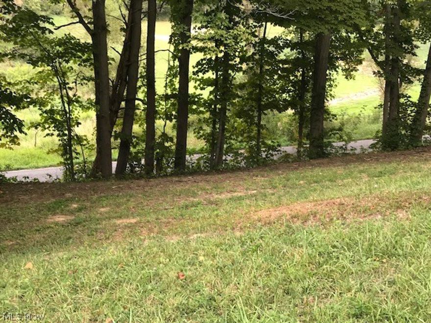 1.5 acres with utilities on site; sits back from road. Partial pad on flat level area with woods as your backyard.