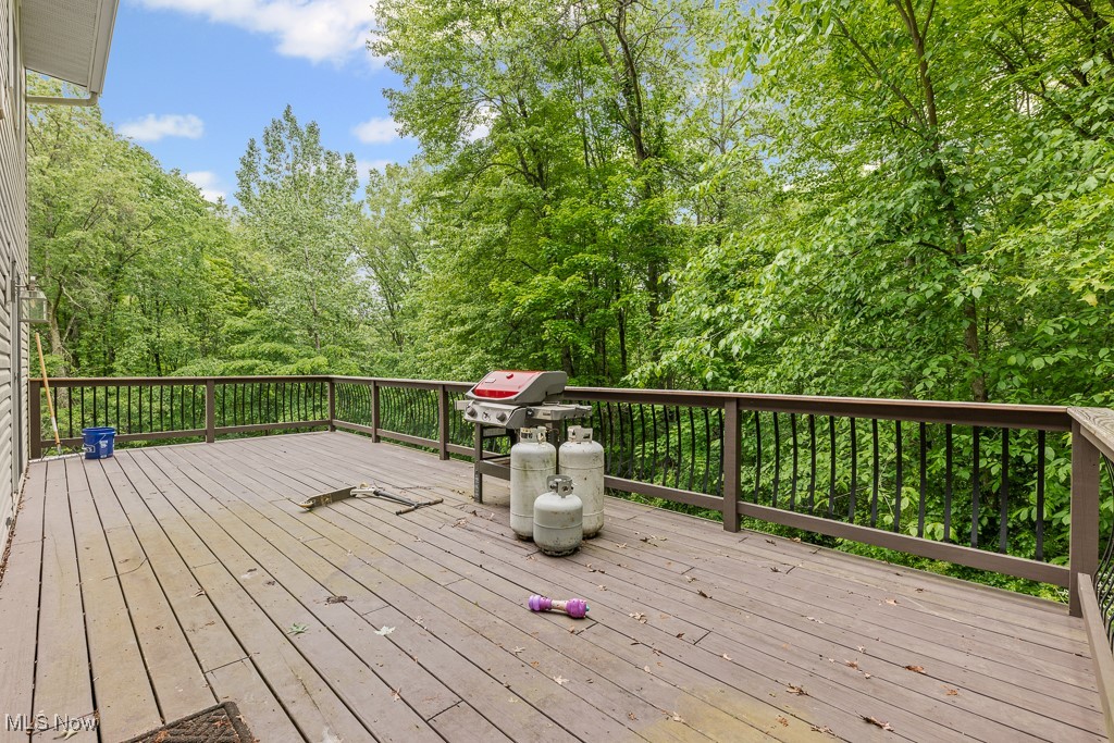 13109 Edison Street, Alliance, Ohio image 45