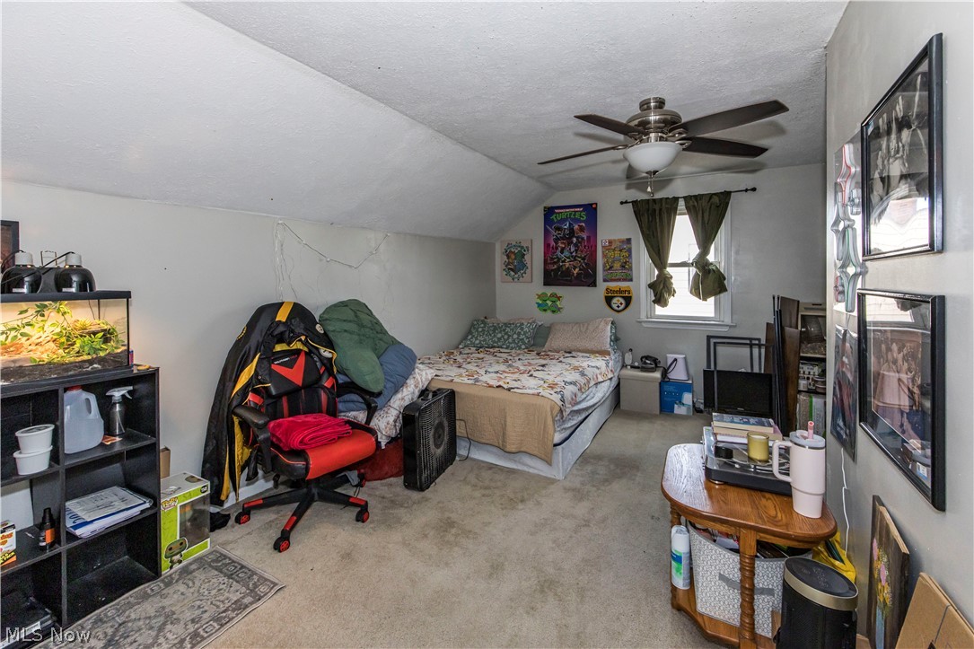 Delmar Park Allotment - Residential