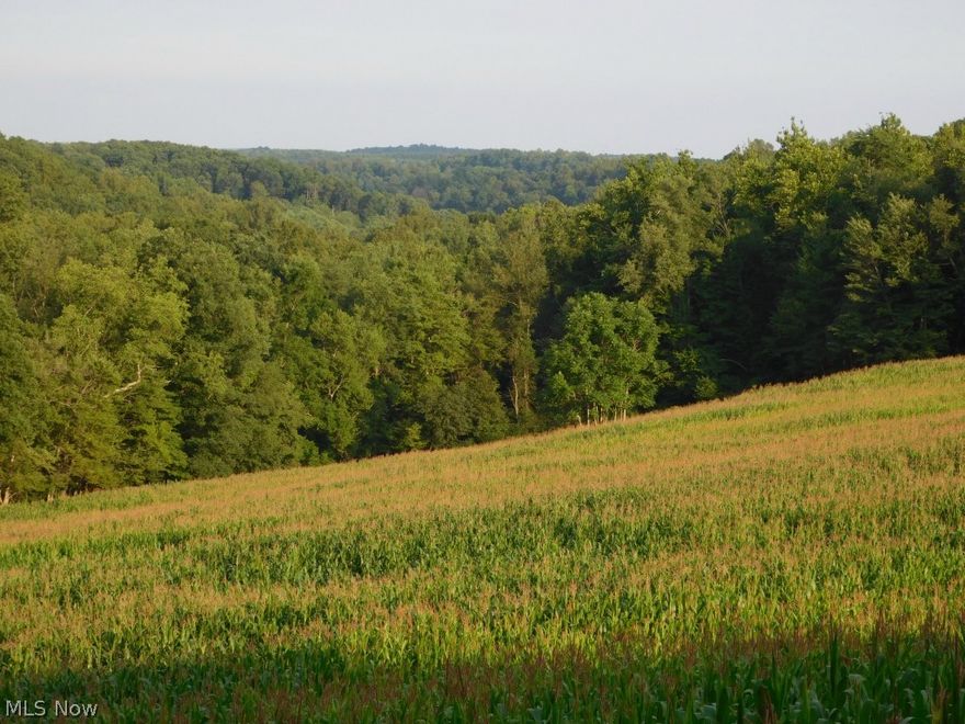 20.427 acres in western Coshocton County.Great building sites with plenty of road frontage. Property is currently being farmed and has corn planted in it. Simply one of the best Deer and Turkey hunting properties in Coshocton County on the market today. All mineral rights owned by seller transfer.