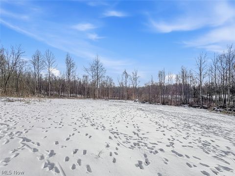 Tiny photo for 8100 Oh-78, Caldwell, OH 43724 (MLS # 5187493)