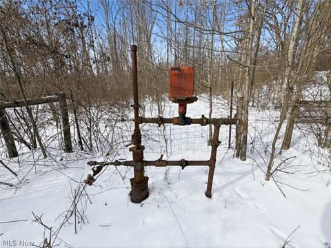 Tiny photo for 8100 Oh-78, Caldwell, OH 43724 (MLS # 5187493)