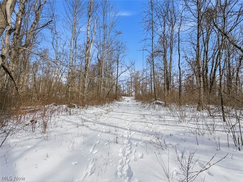 Tiny photo for 8100 Oh-78, Caldwell, OH 43724 (MLS # 5187493)